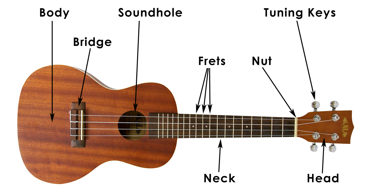 Learn How to Hold a - Ukulele Tutorial